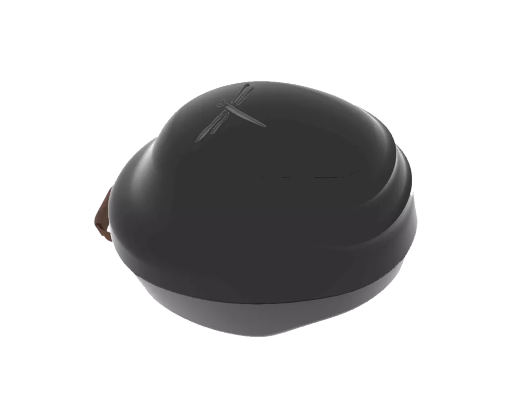 Helmet case