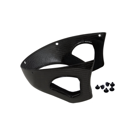 Voronoï Carbon temple protection