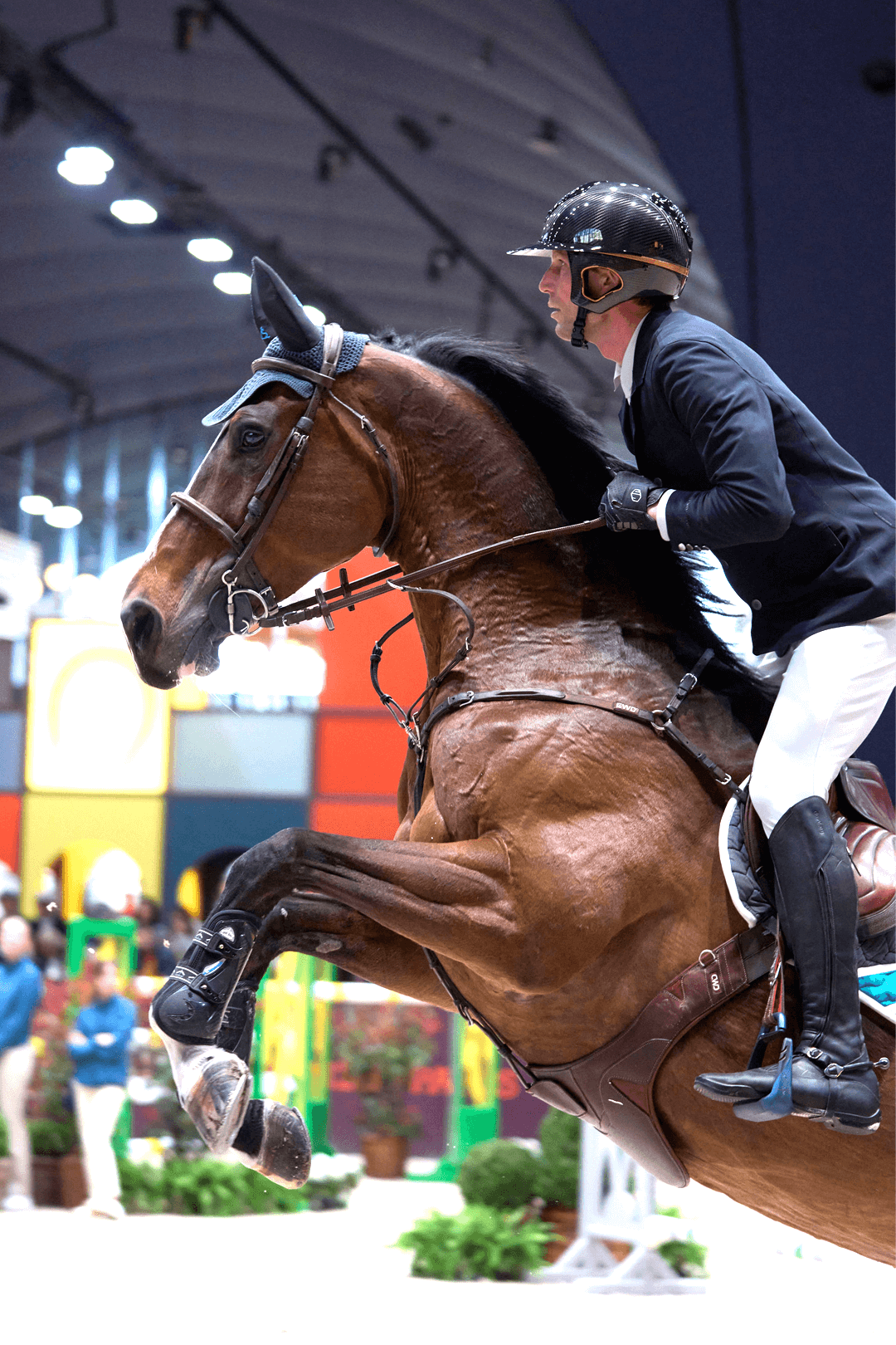 Ambassadors